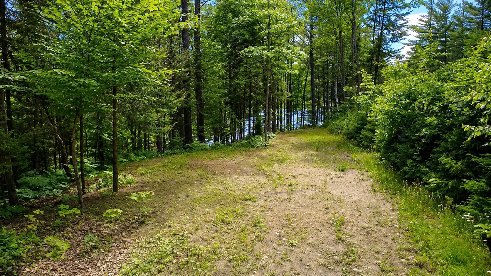 Land/Lot