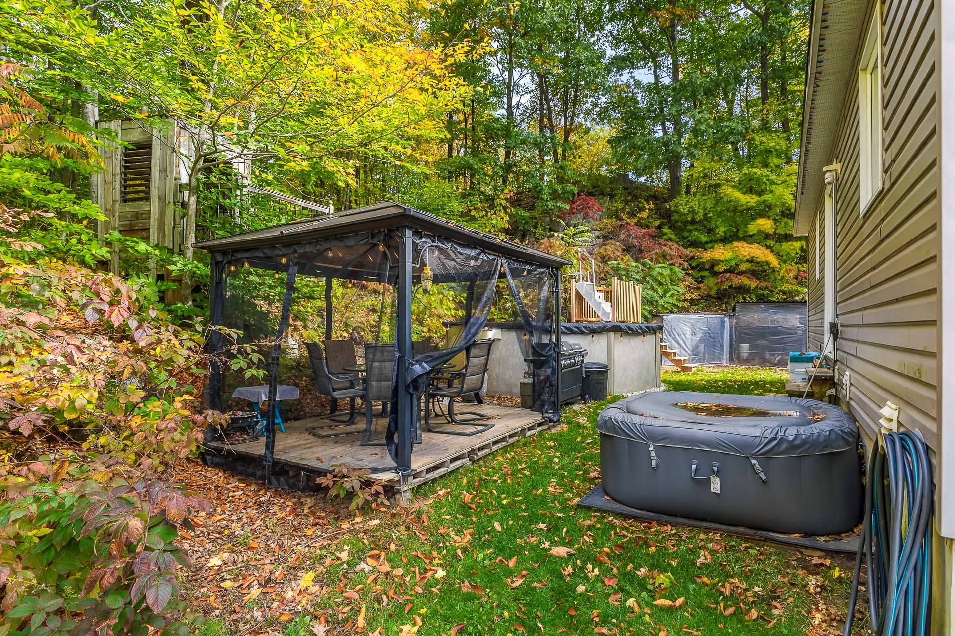 Backyard