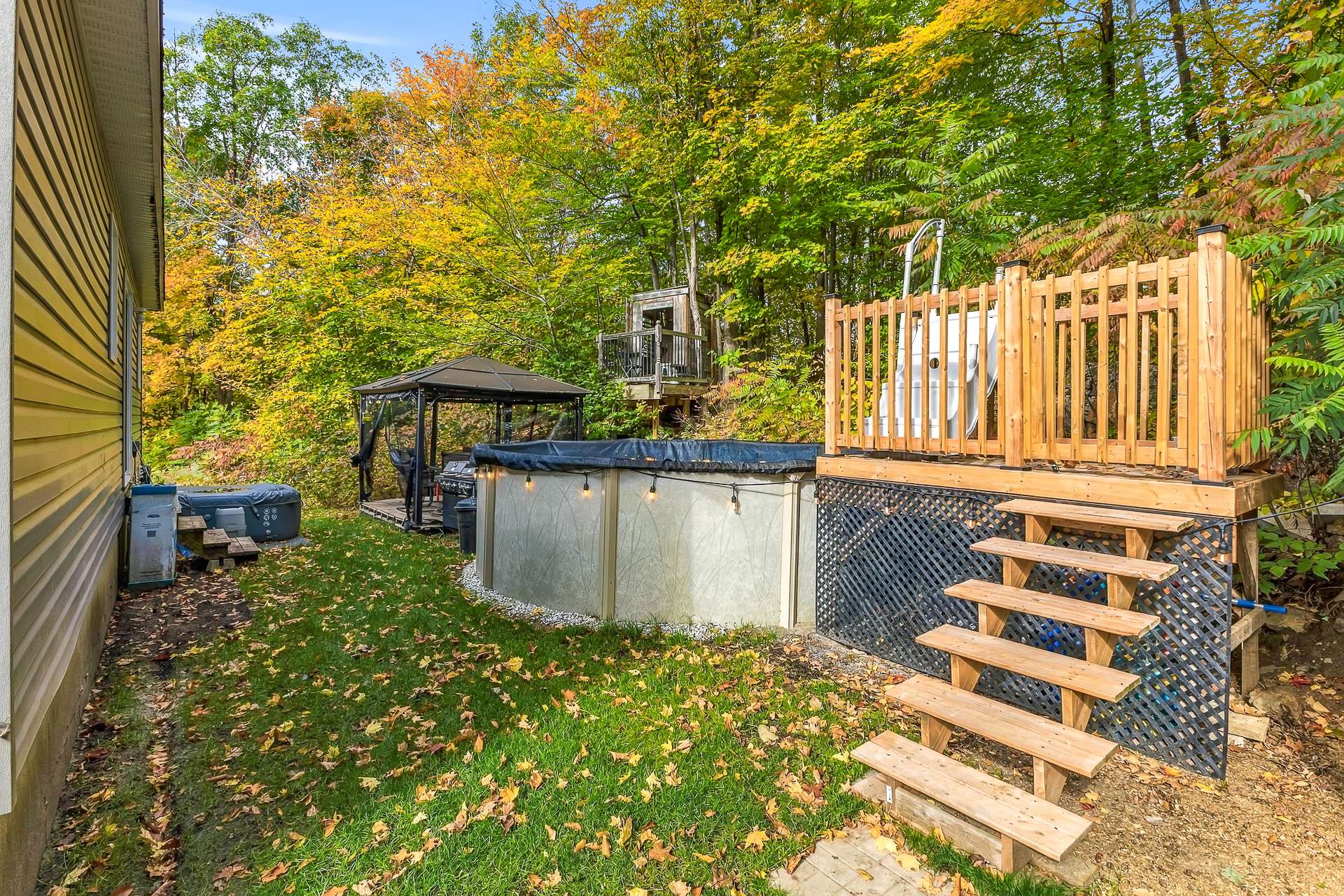 Backyard