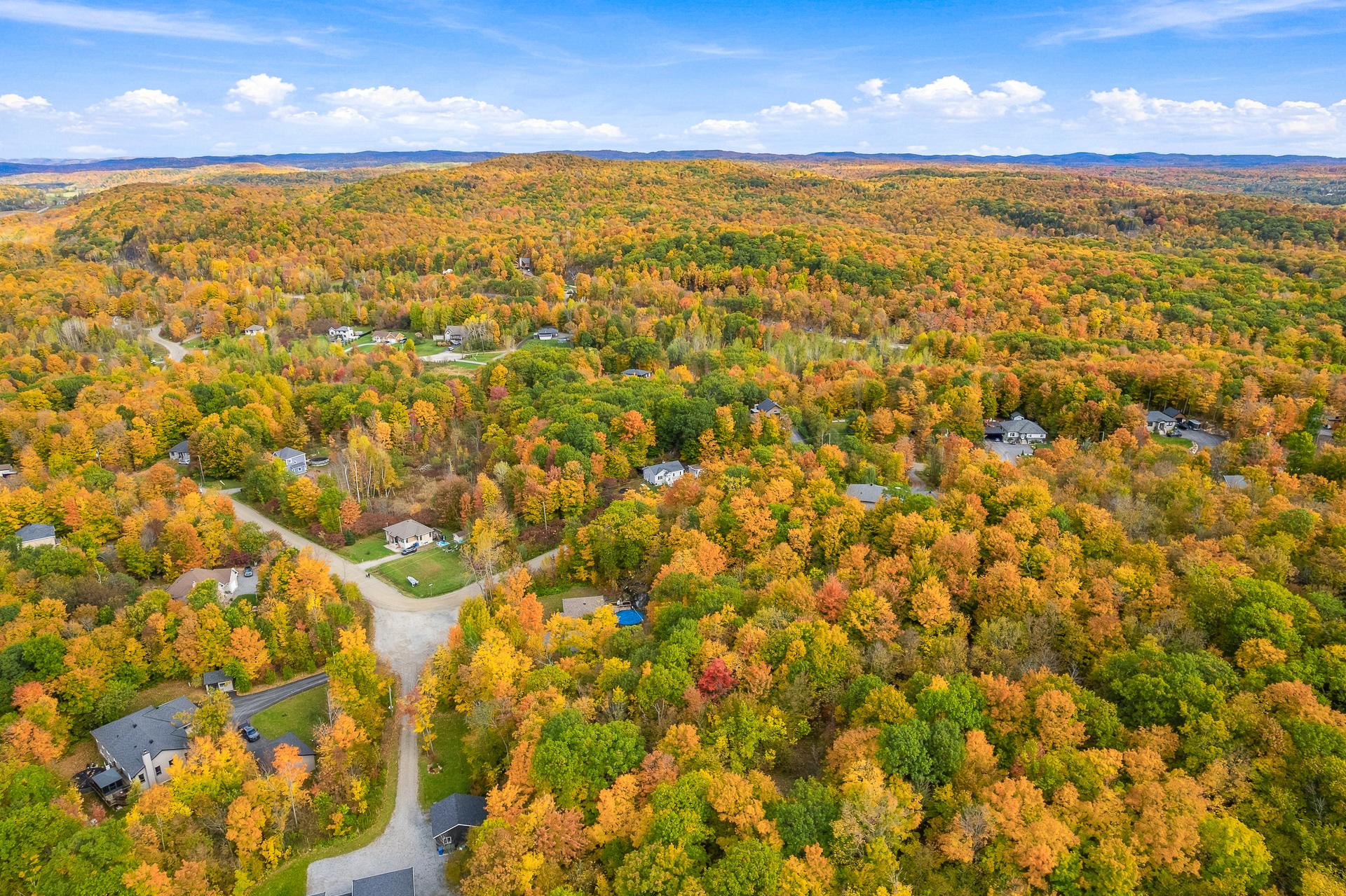 Aerial photo
