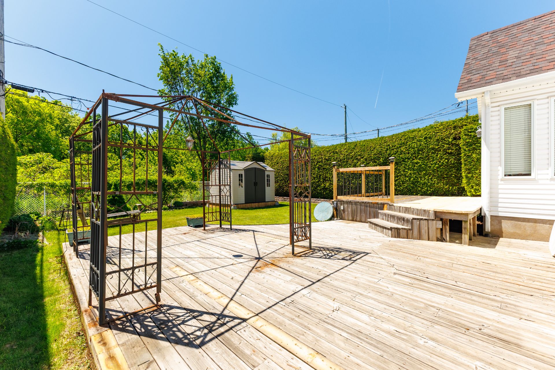 Backyard