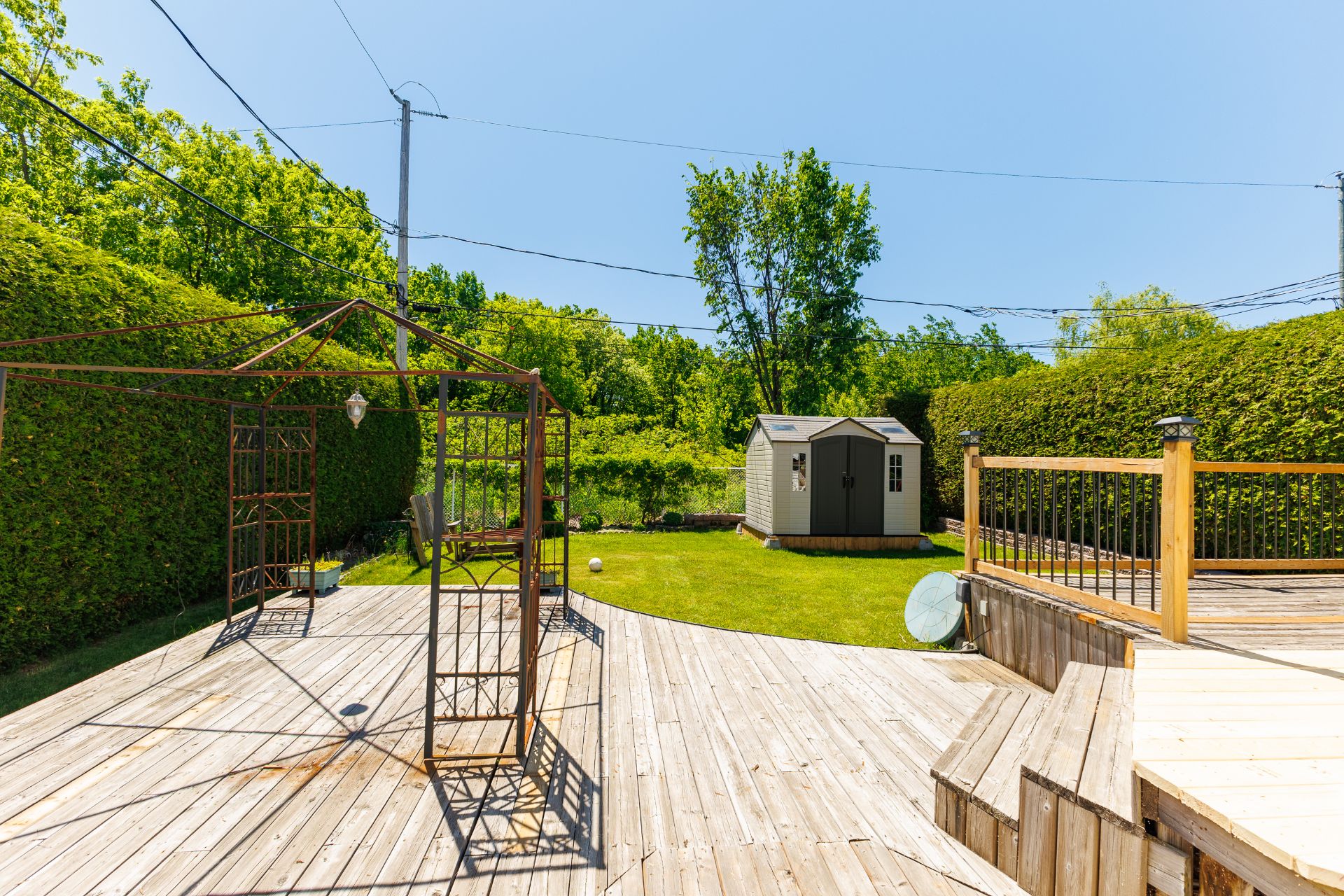 Backyard