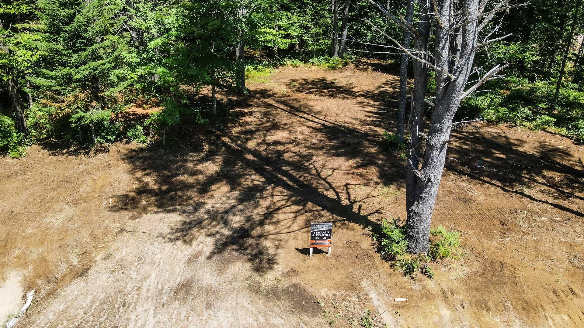 Land/Lot