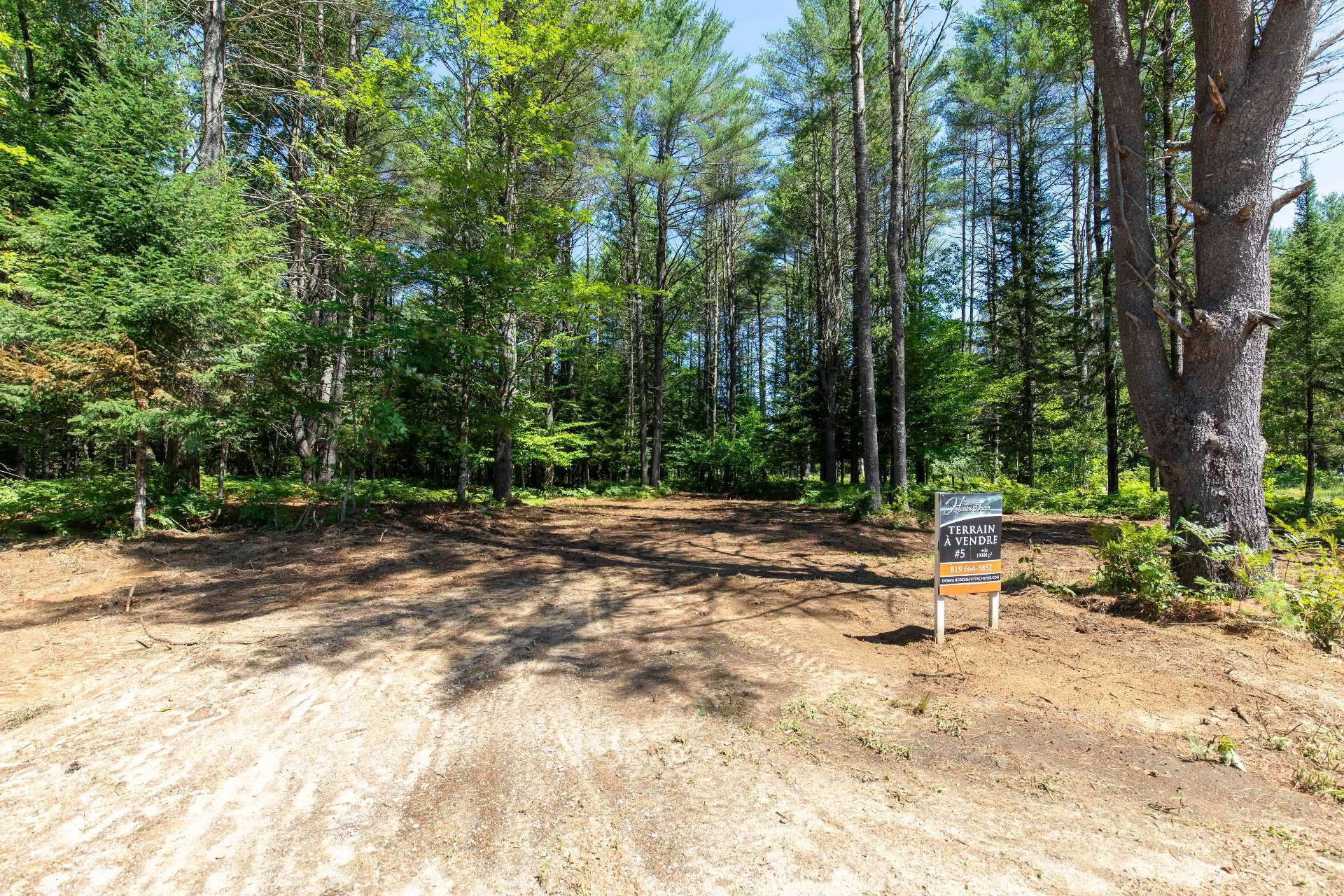 Land/Lot