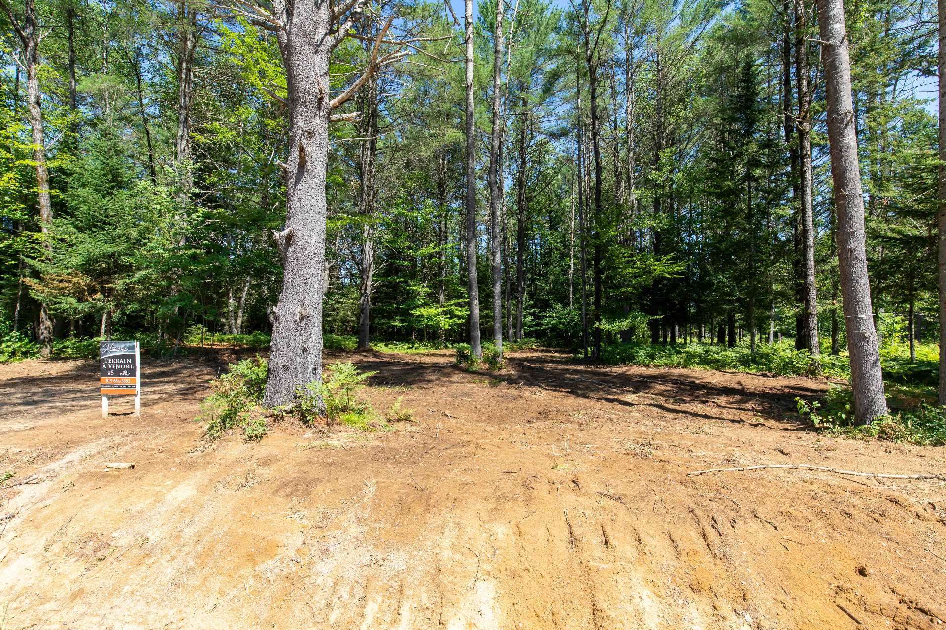 Land/Lot