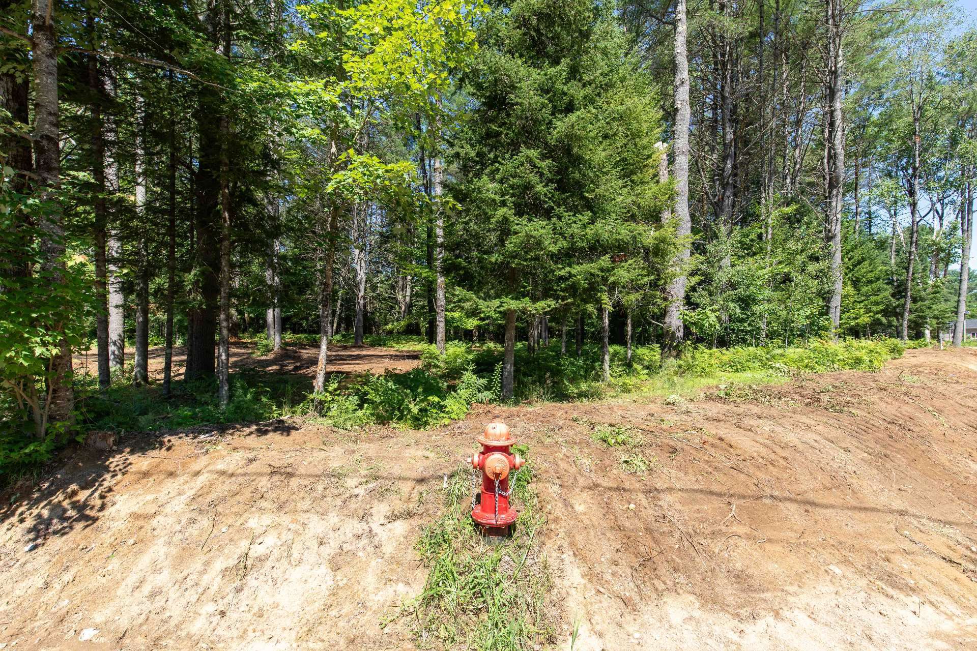 Land/Lot