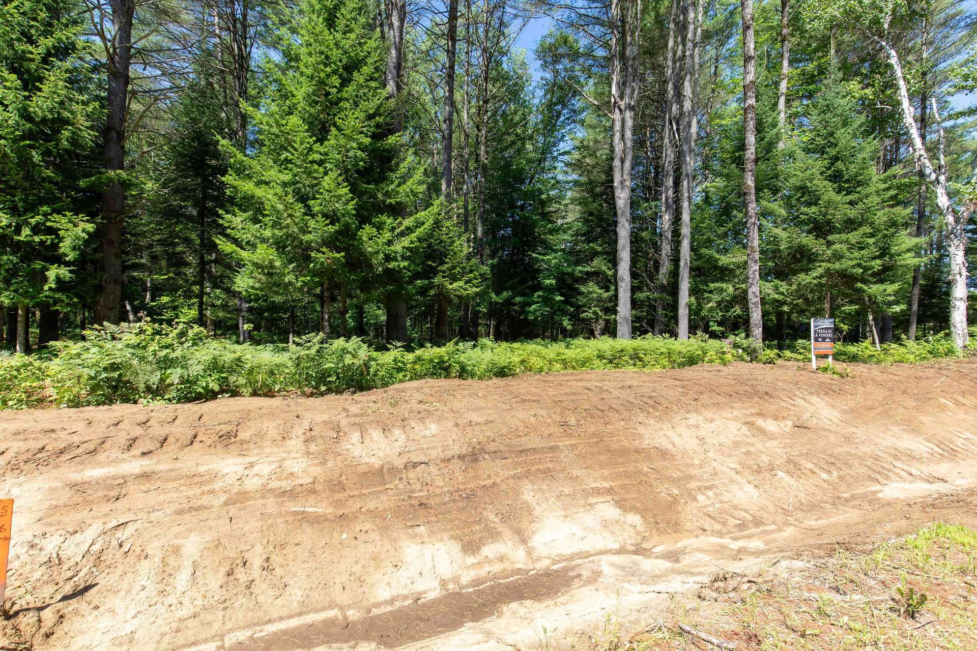 Land/Lot