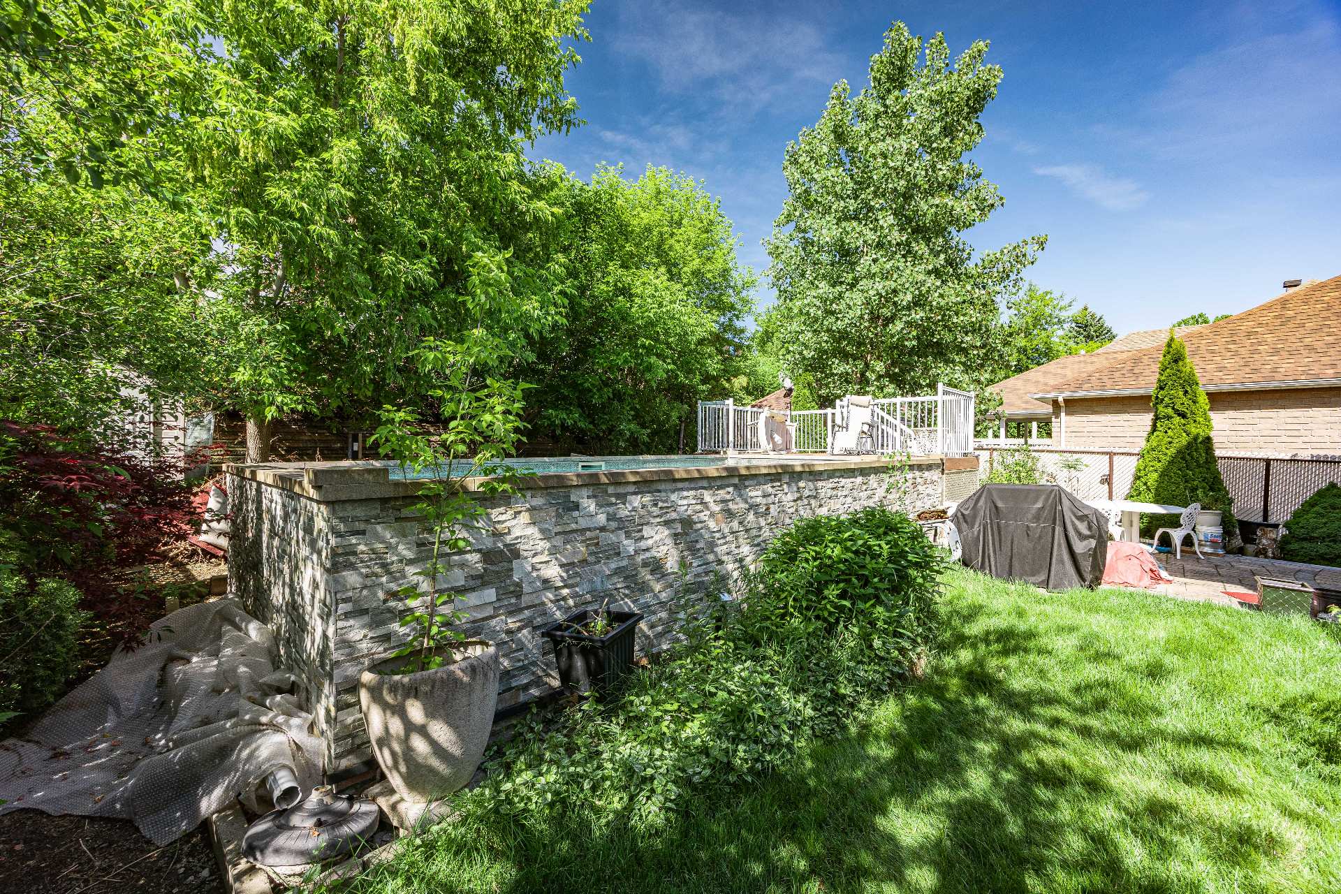 Backyard