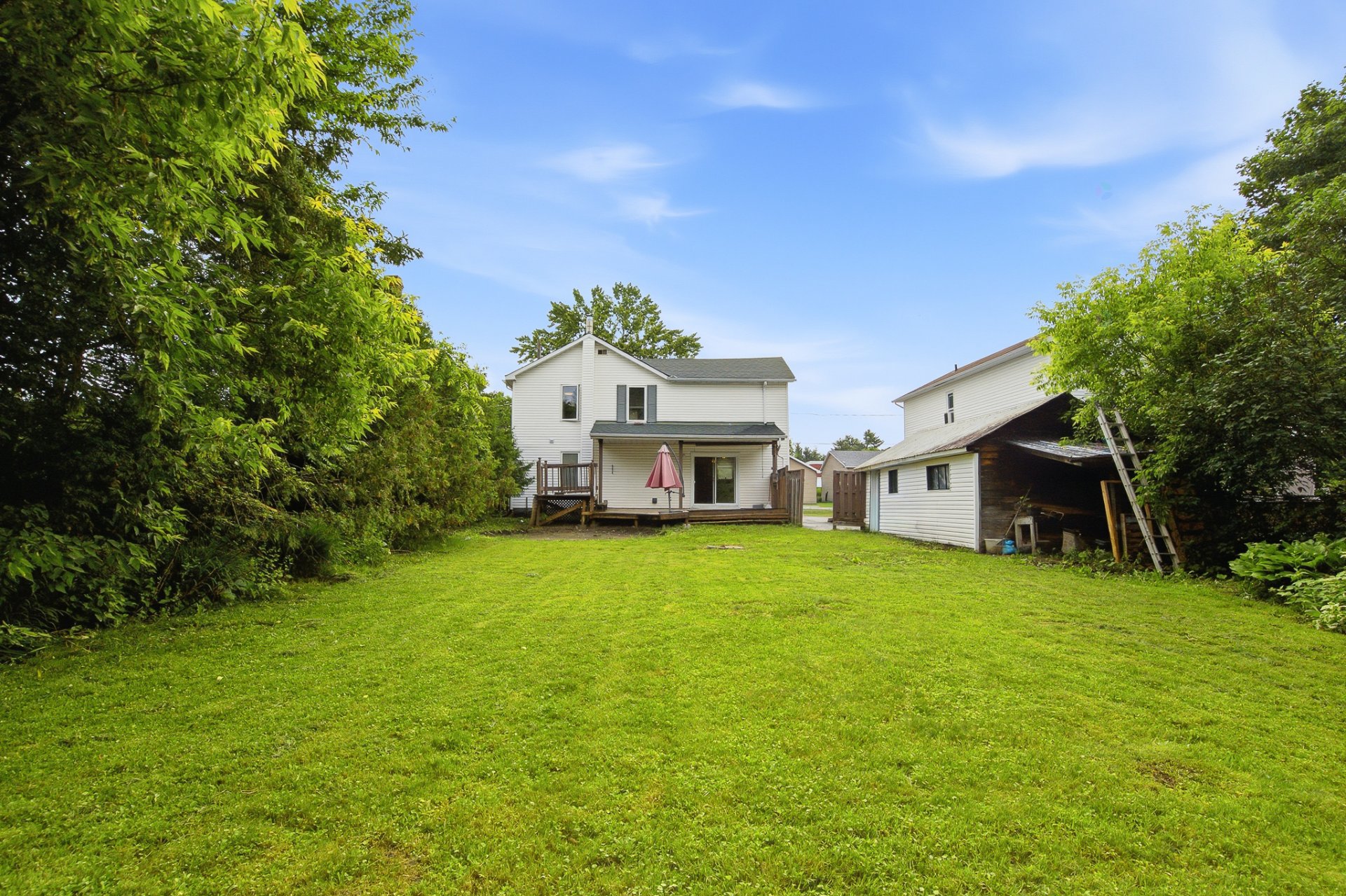Backyard