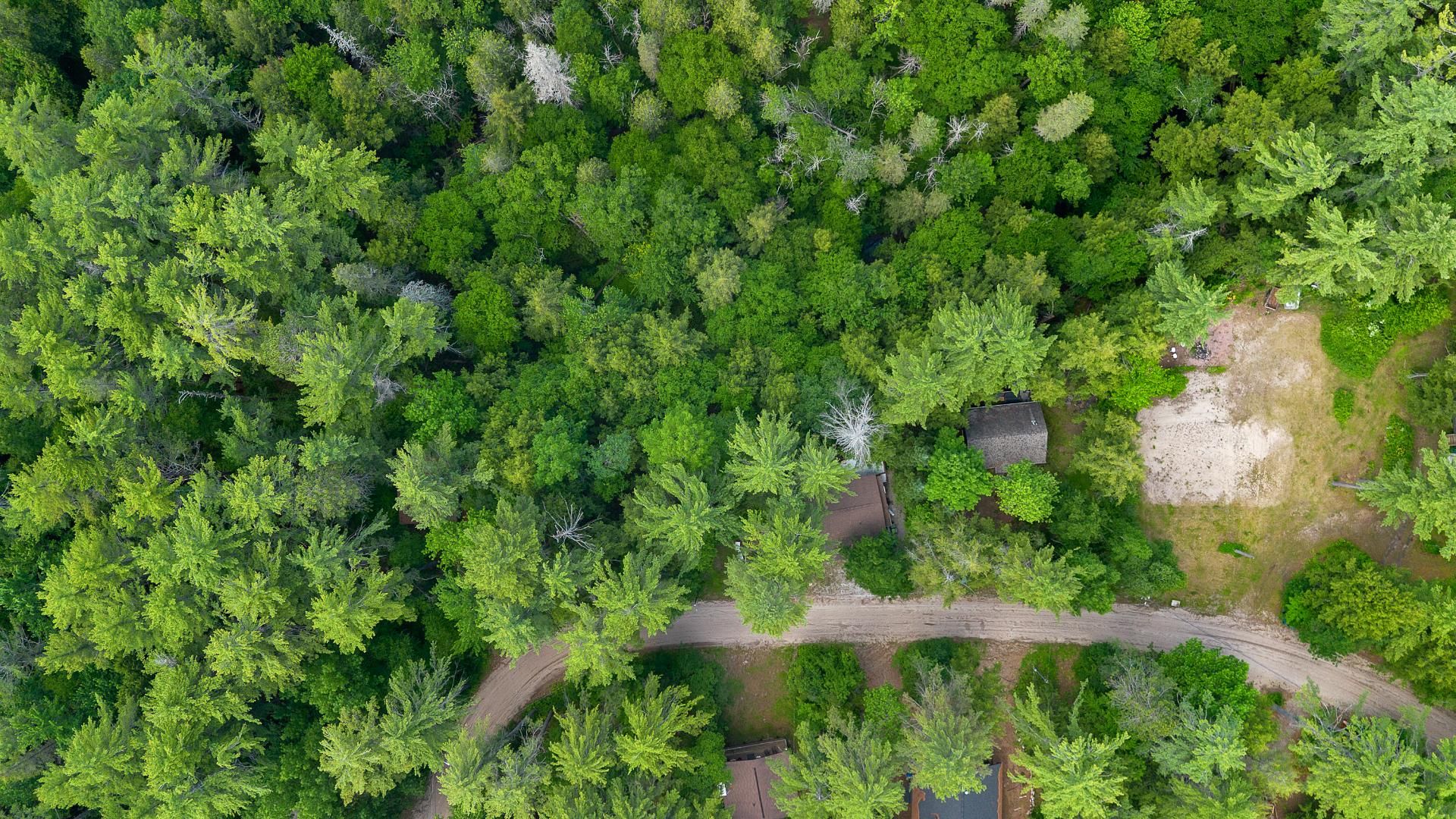 Aerial photo