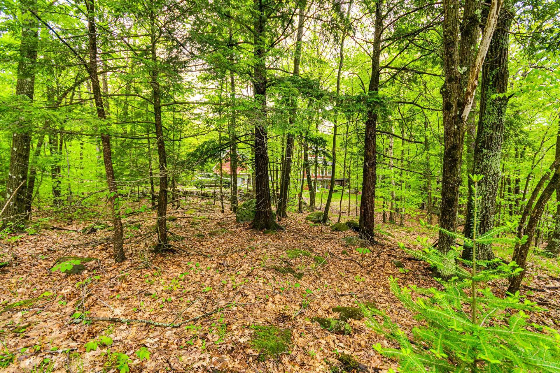 Land/Lot