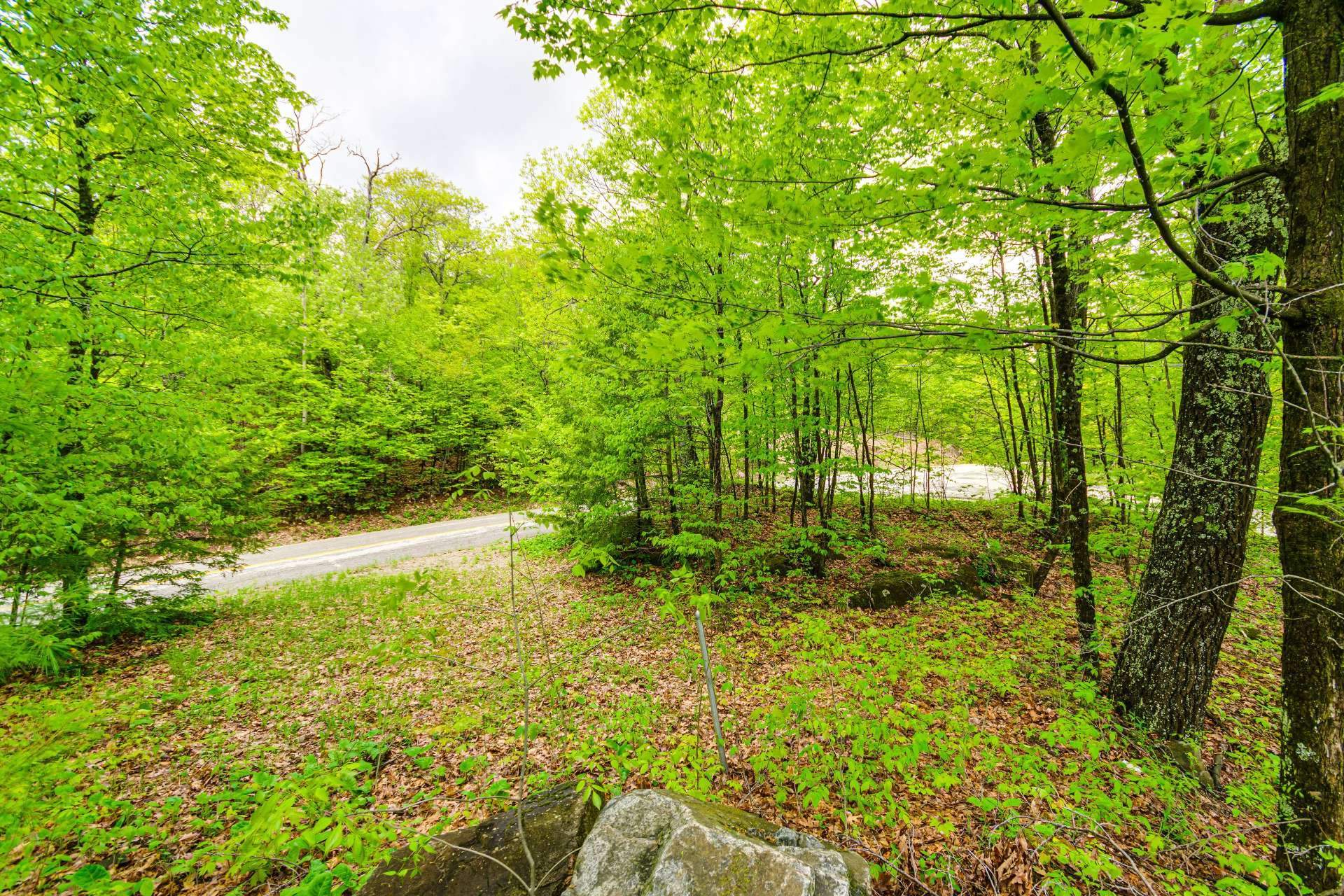 Land/Lot