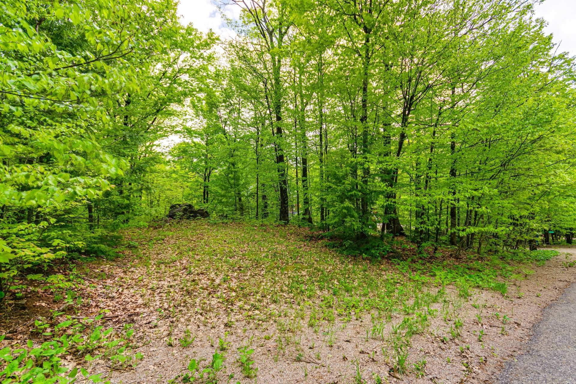 Land/Lot