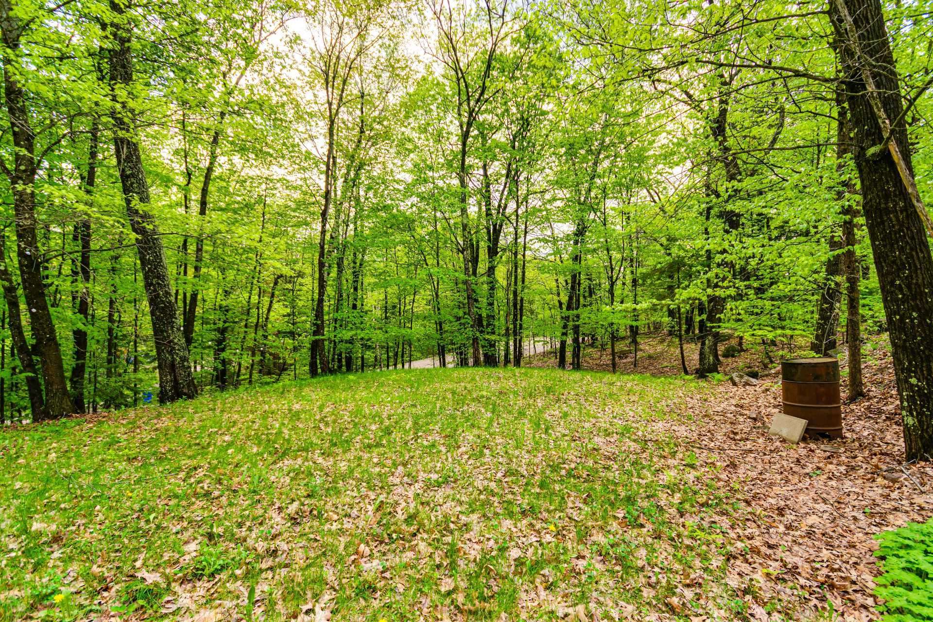 Land/Lot
