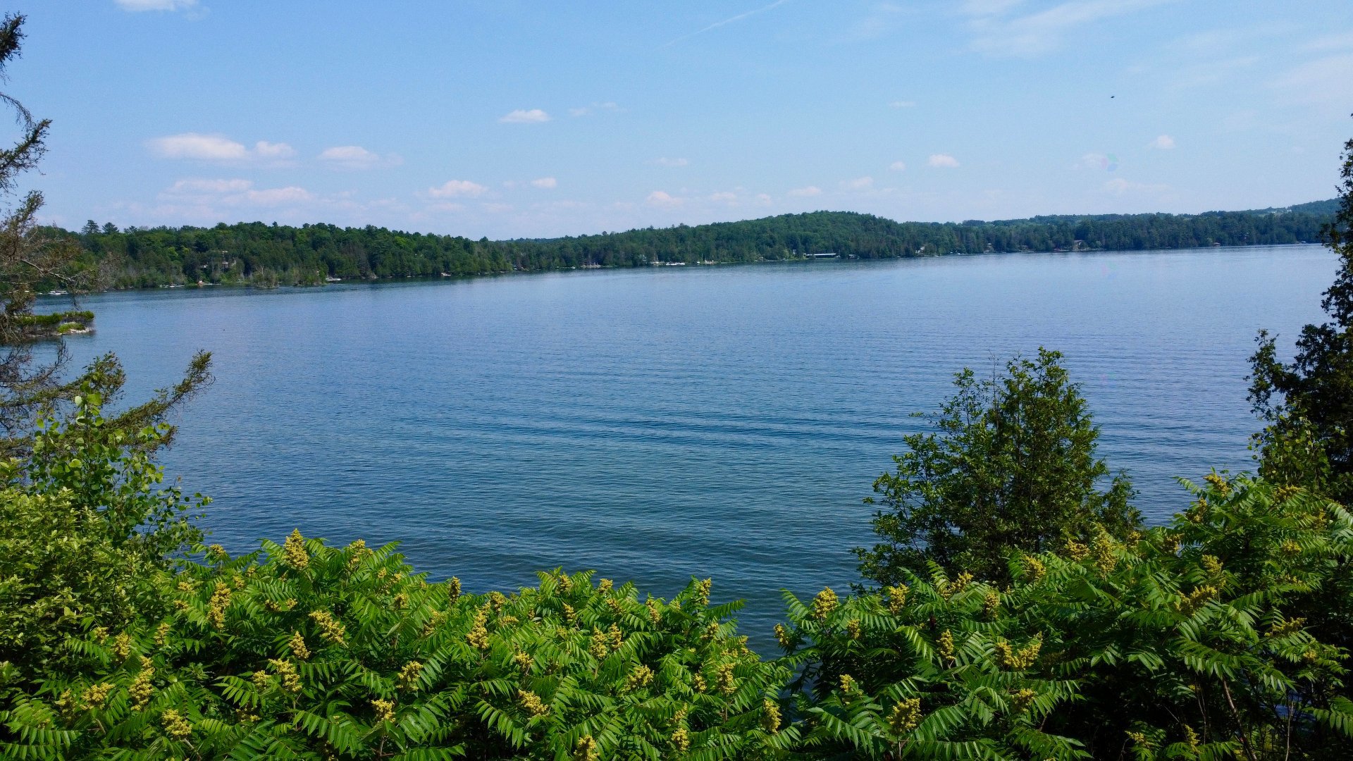 Water view