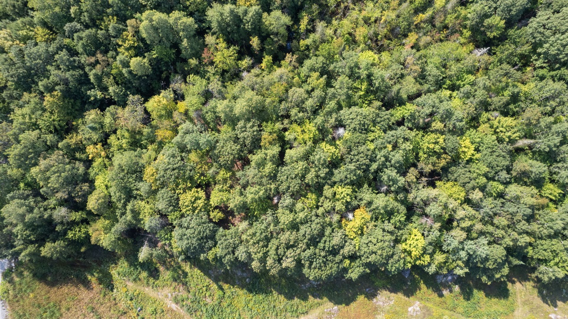 Land/Lot