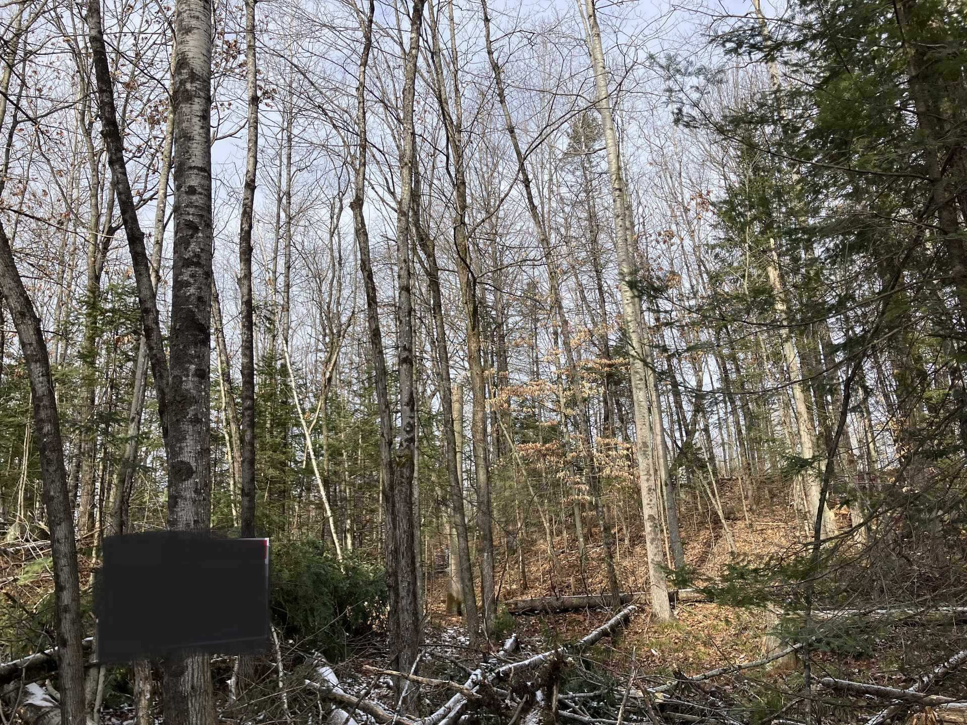Land/Lot