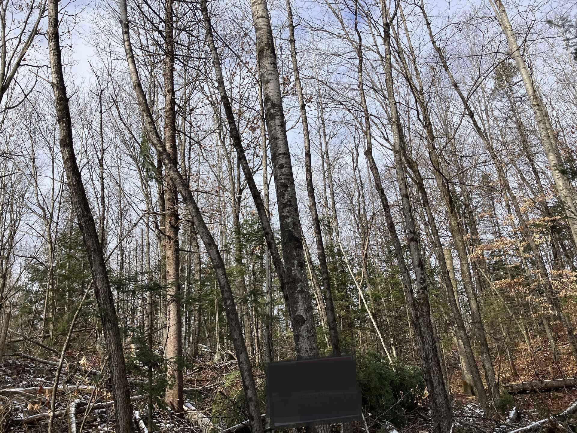 Land/Lot
