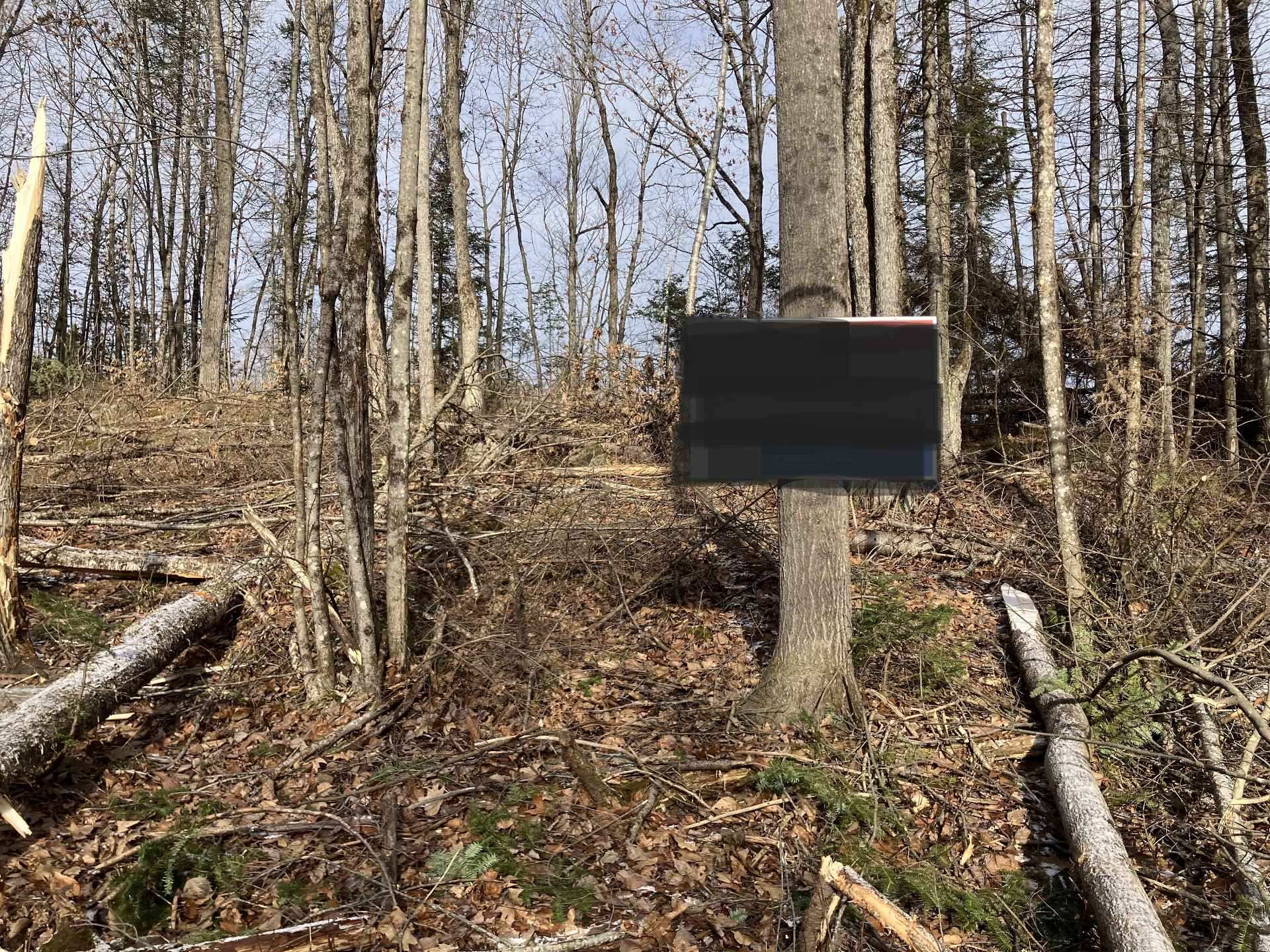 Land/Lot