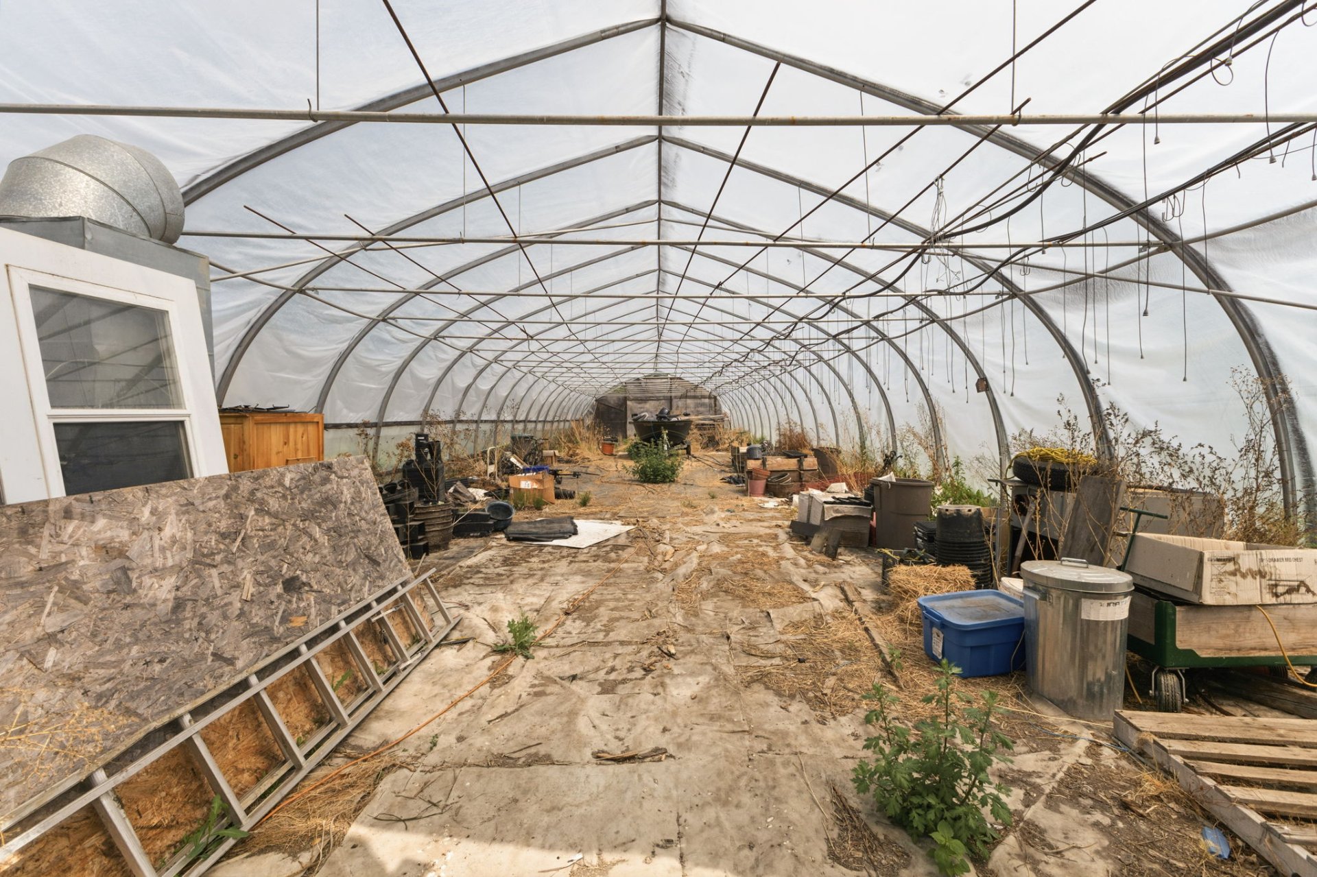Greenhouse