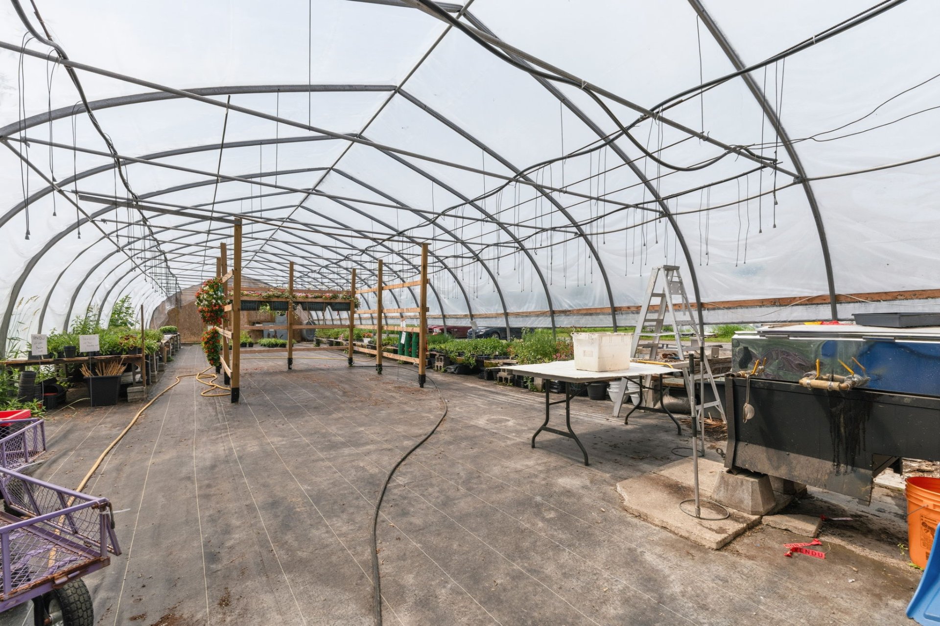 Greenhouse