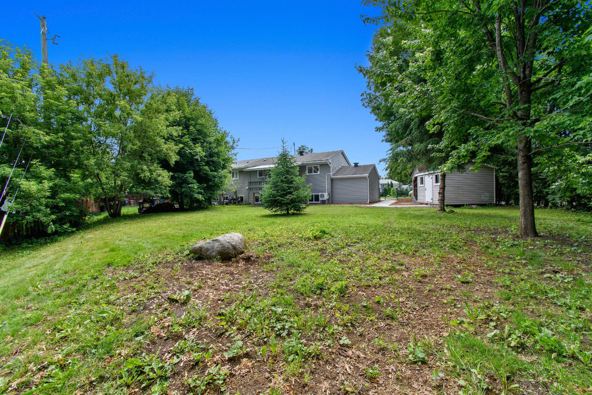 Backyard