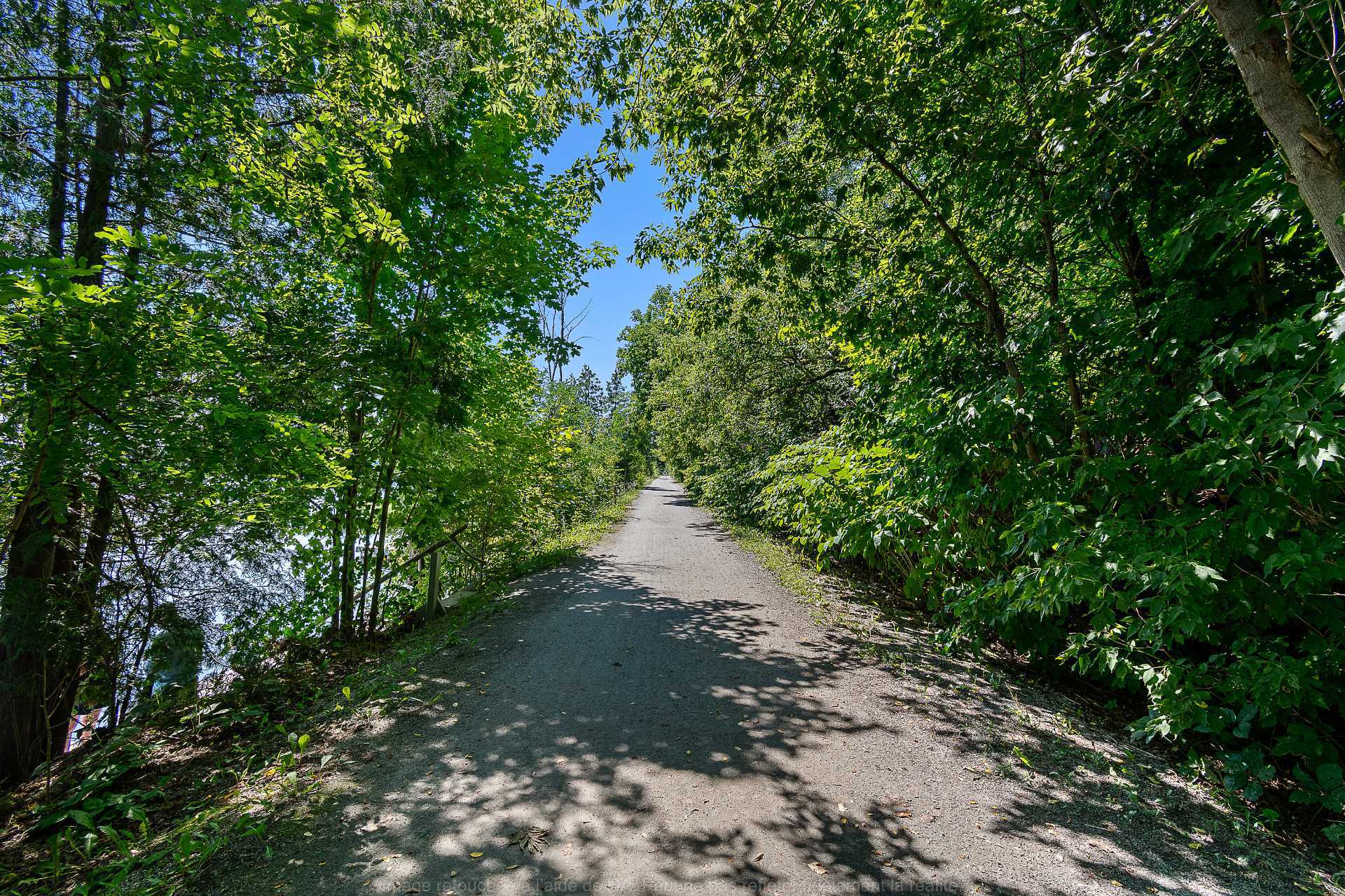 Community trail