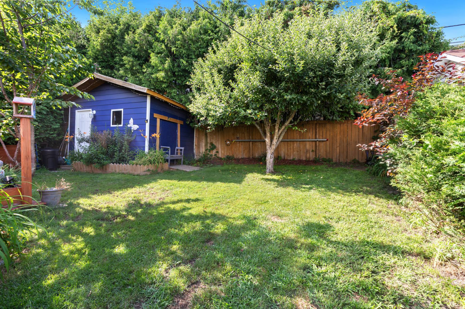 Backyard
