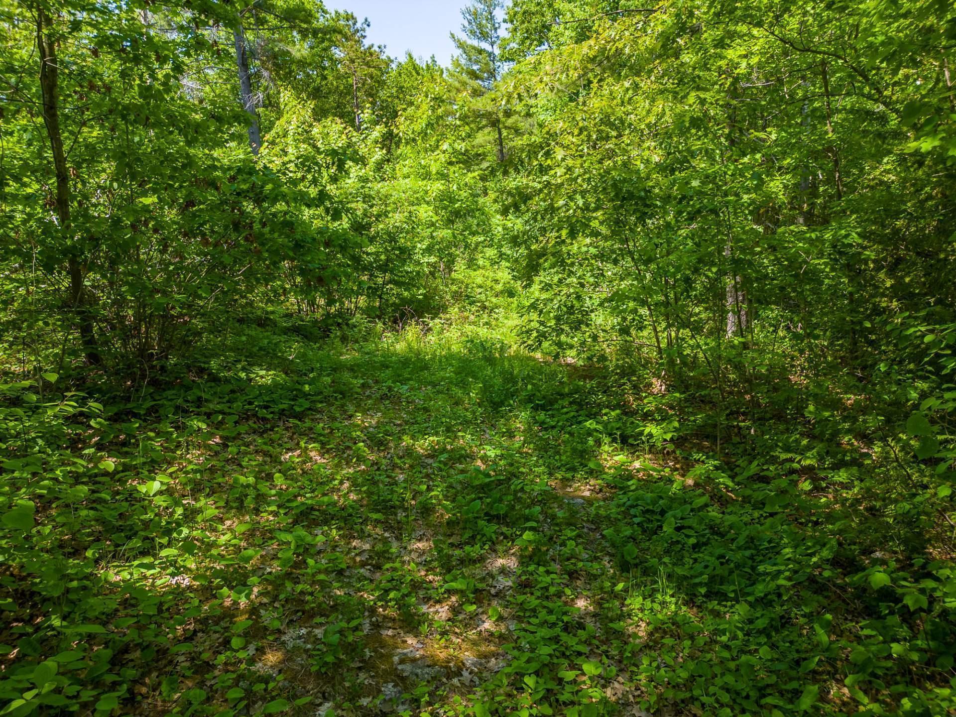 Land/Lot
