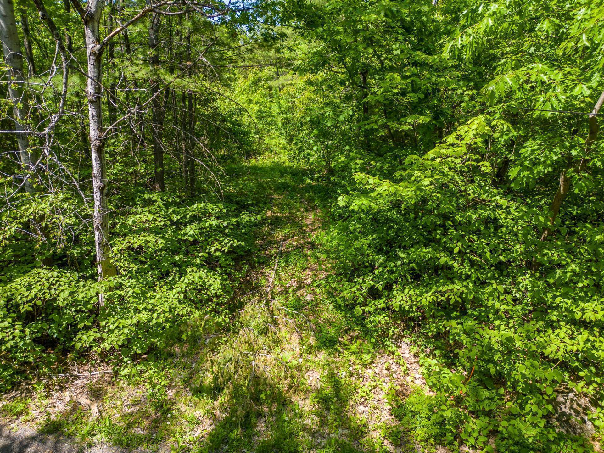 Land/Lot