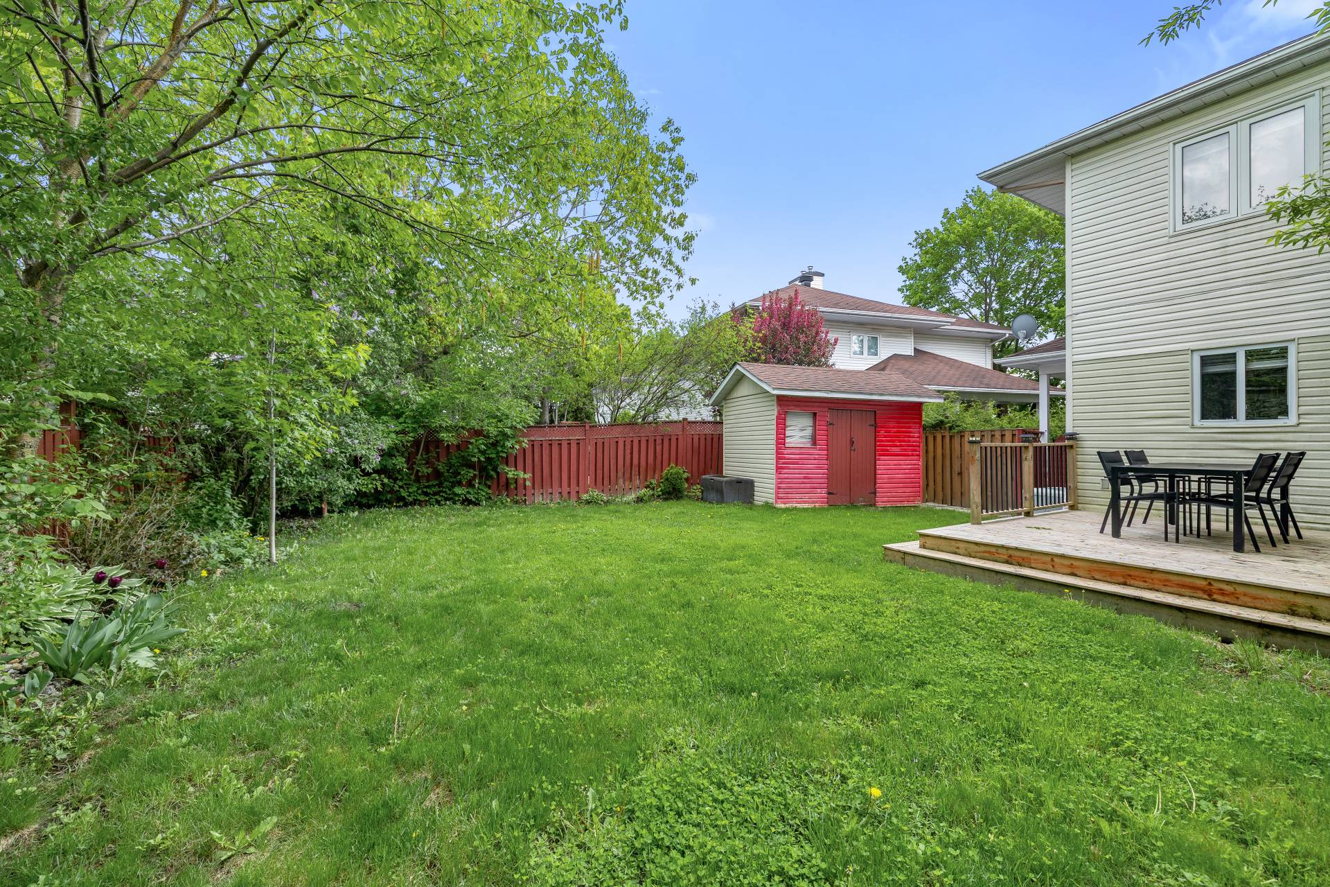 Backyard