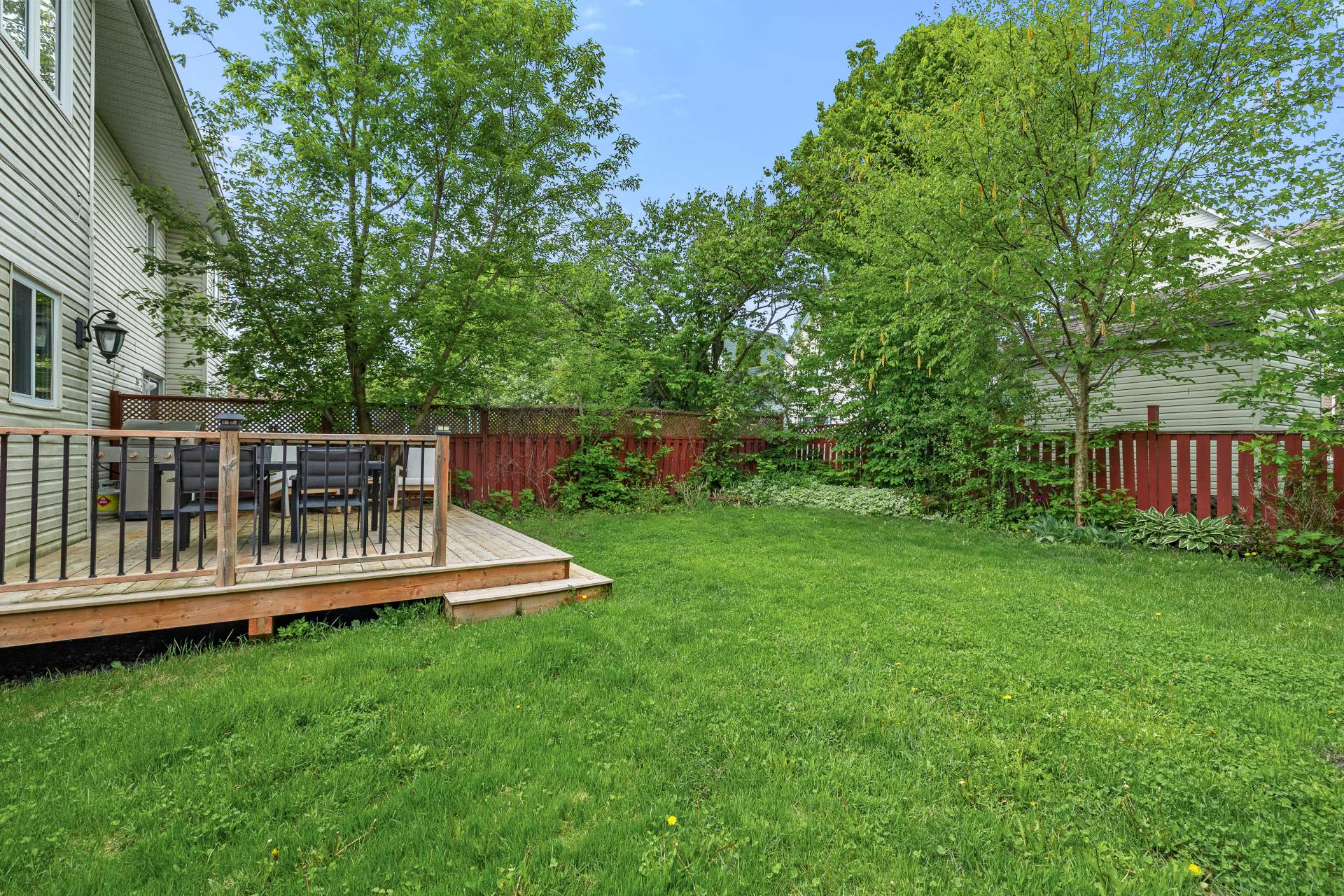 Backyard
