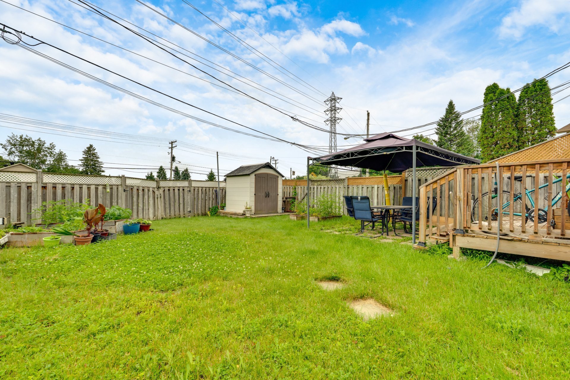 Backyard