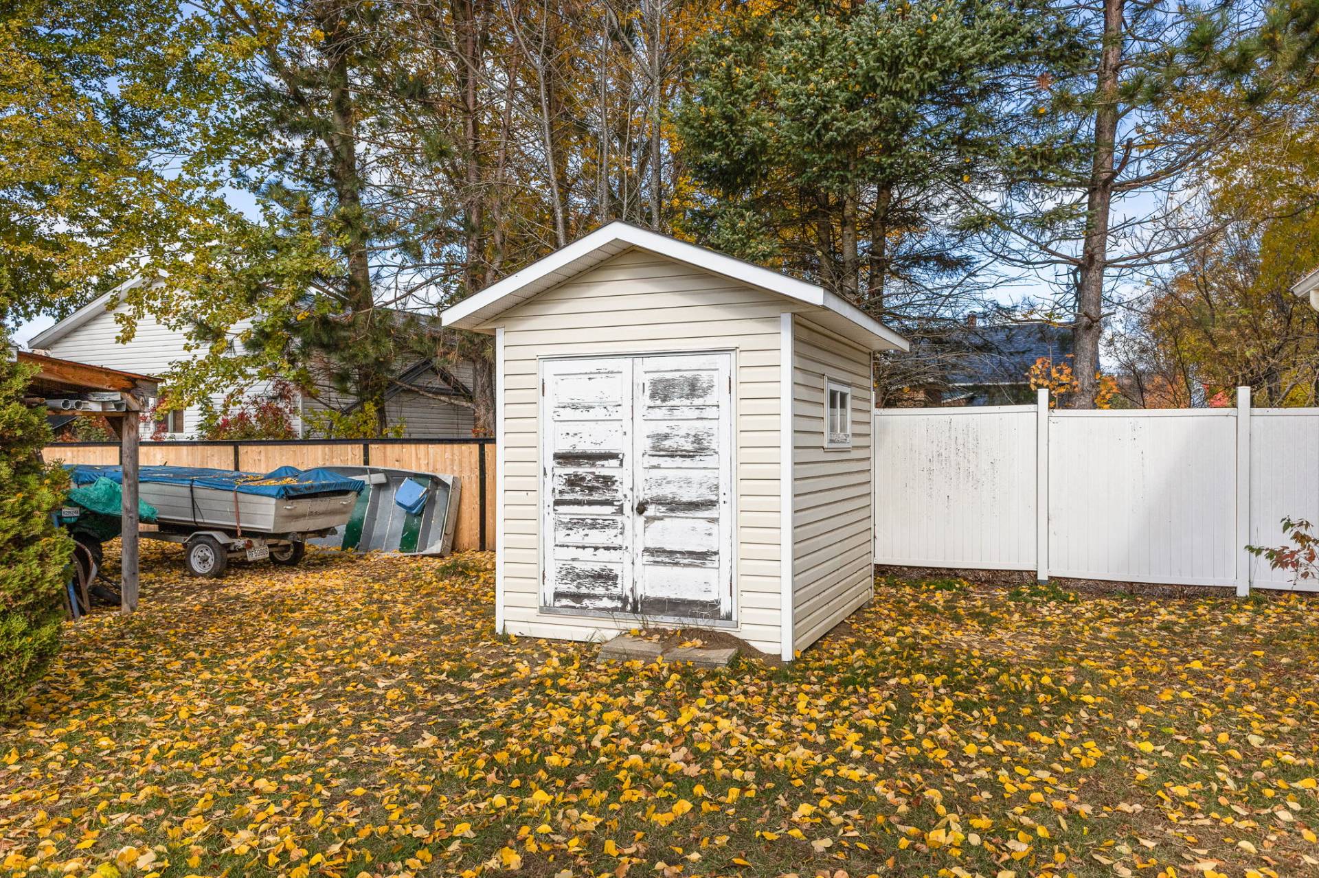 Shed