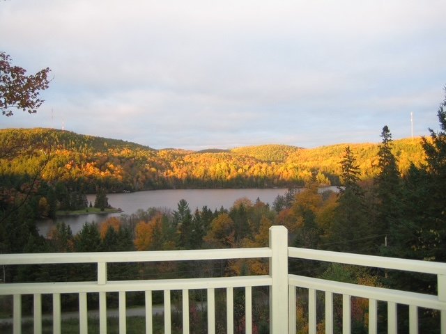 Vue d'ensemble