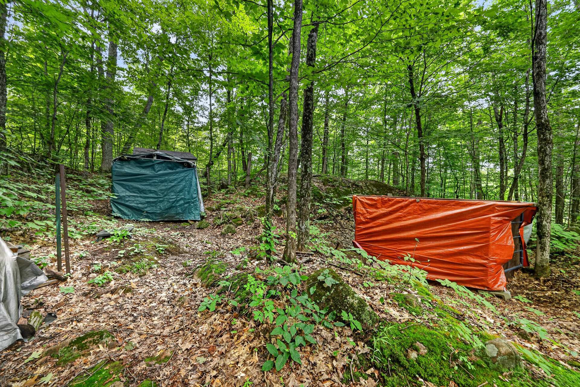 Terre/Terrain