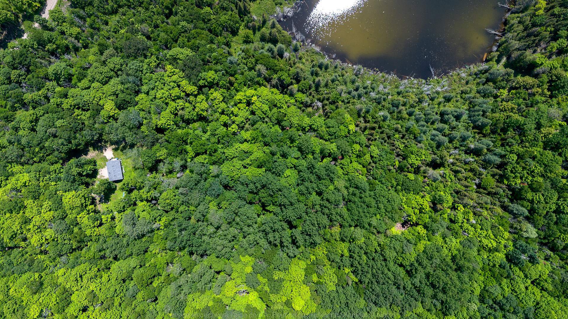 Overall view