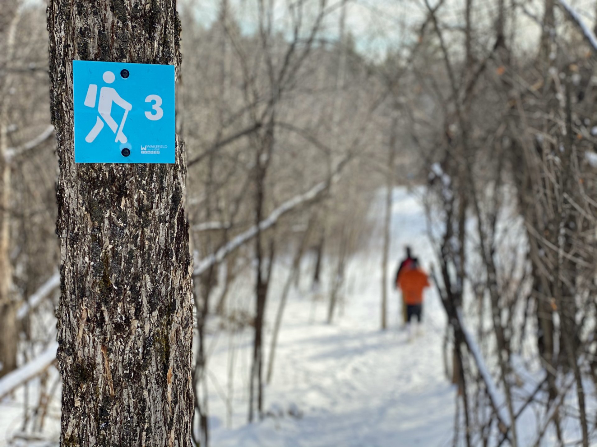 Wooded area