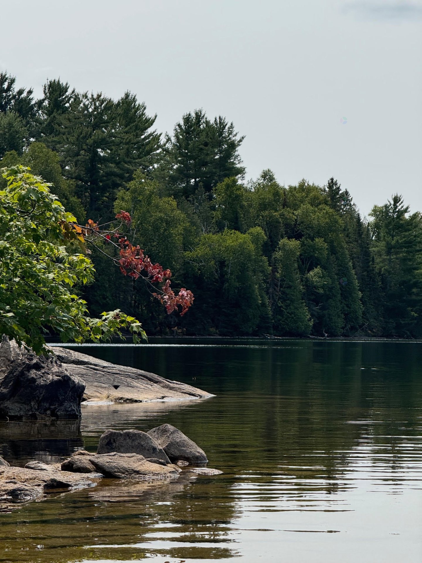 Waterfront