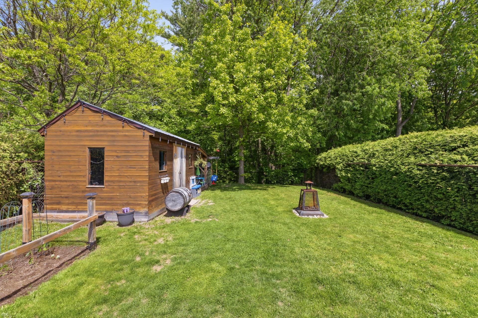 Backyard