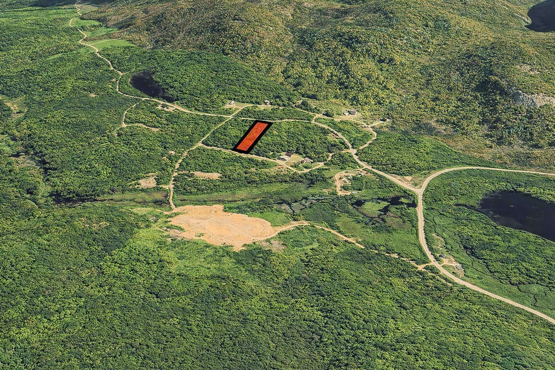 Overall view
