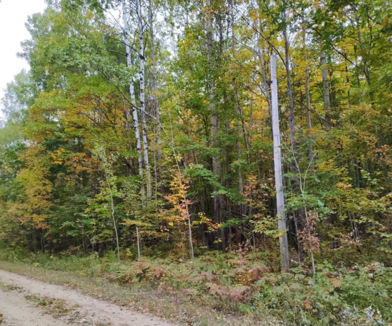 Land/Lot