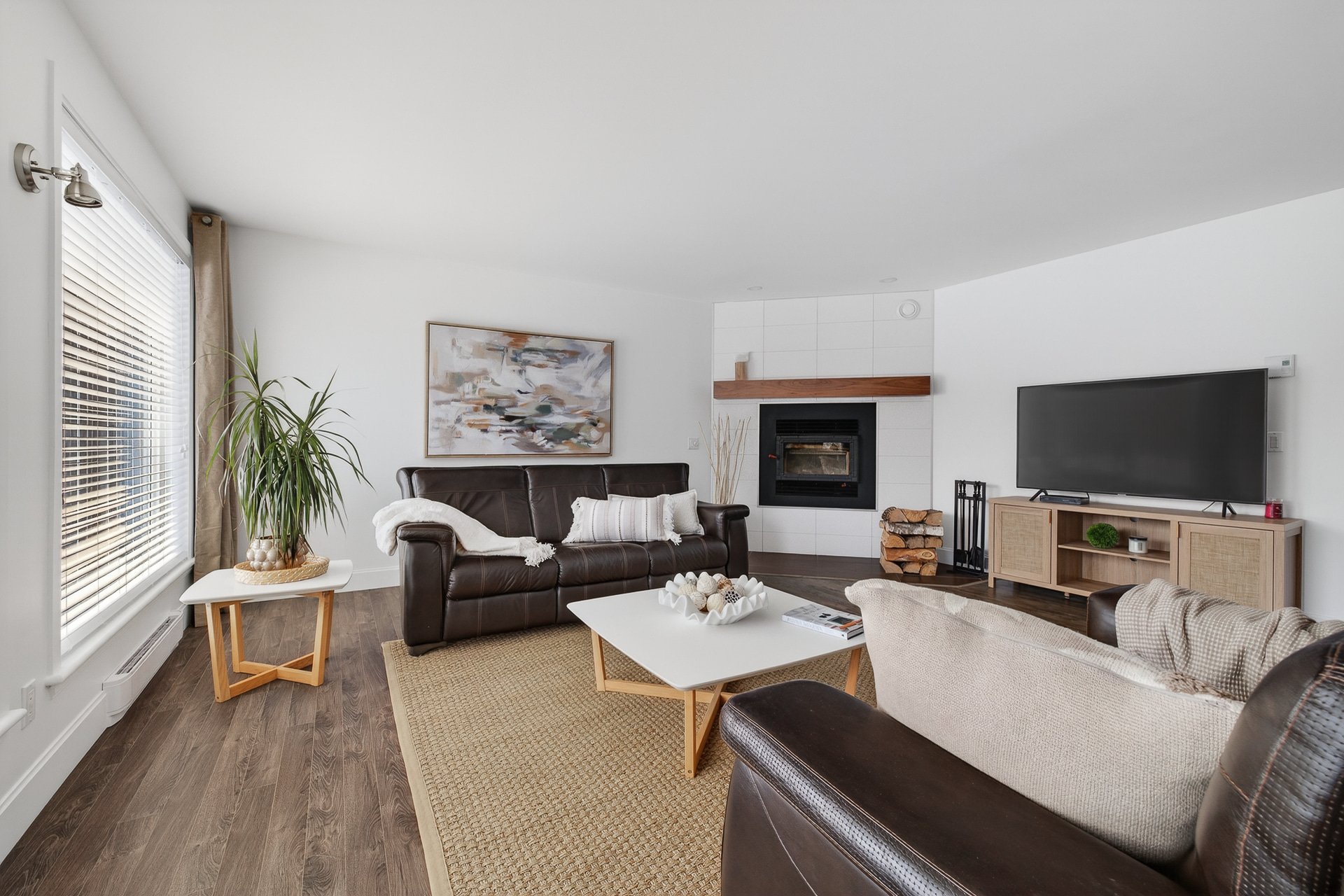 Salon - Foyer au bois.