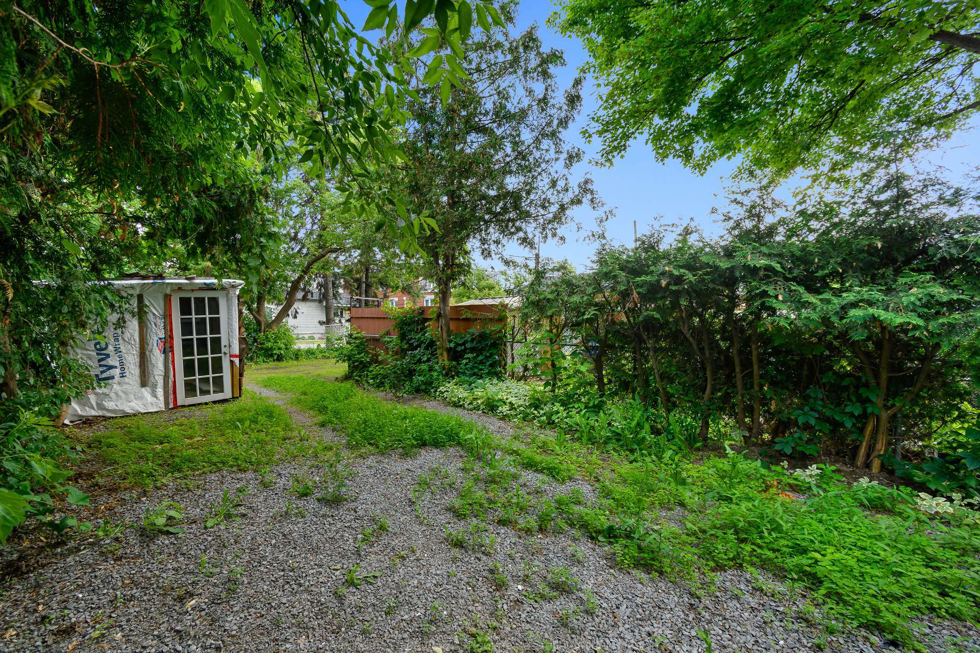 Backyard
