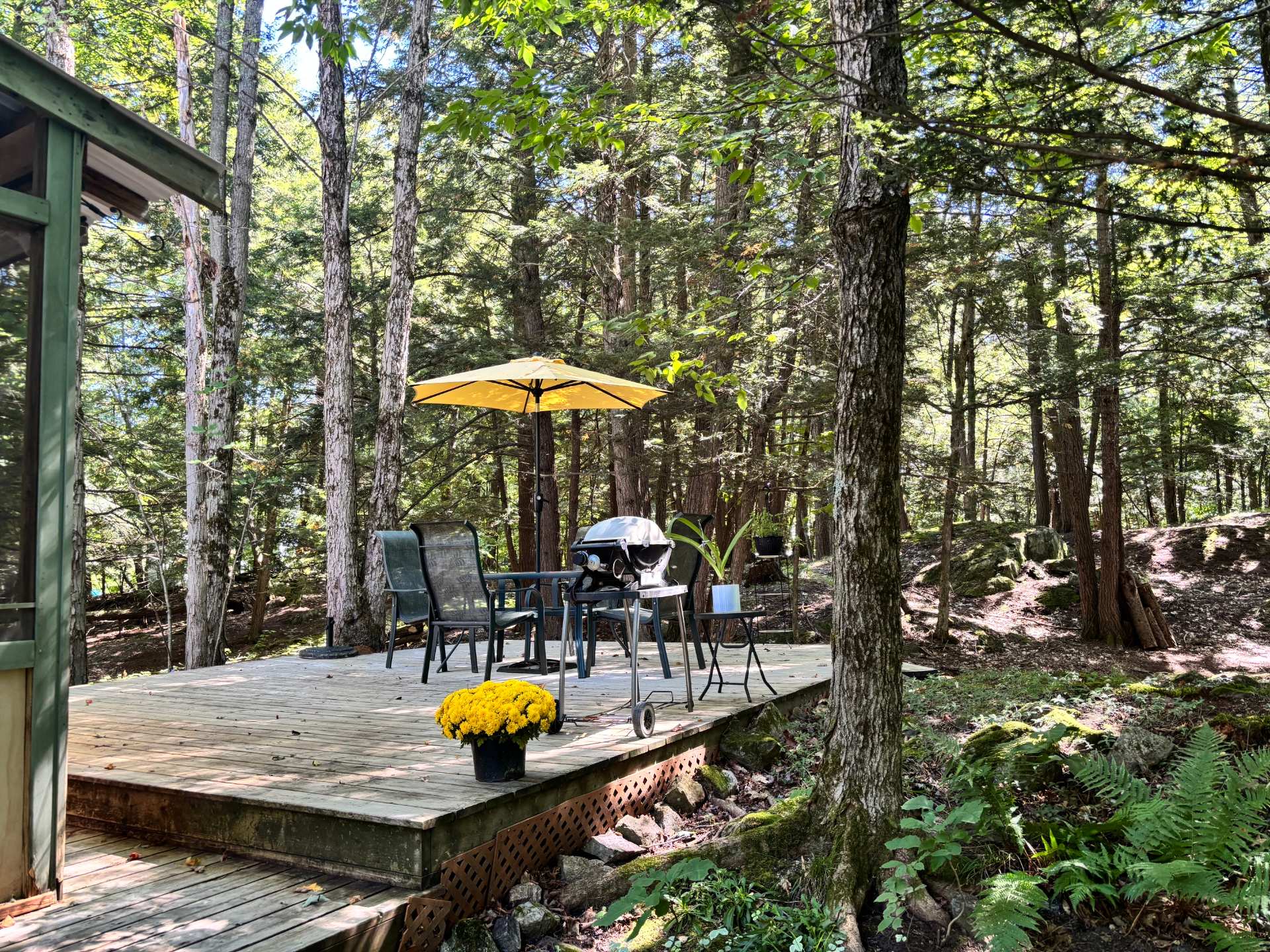 Patio