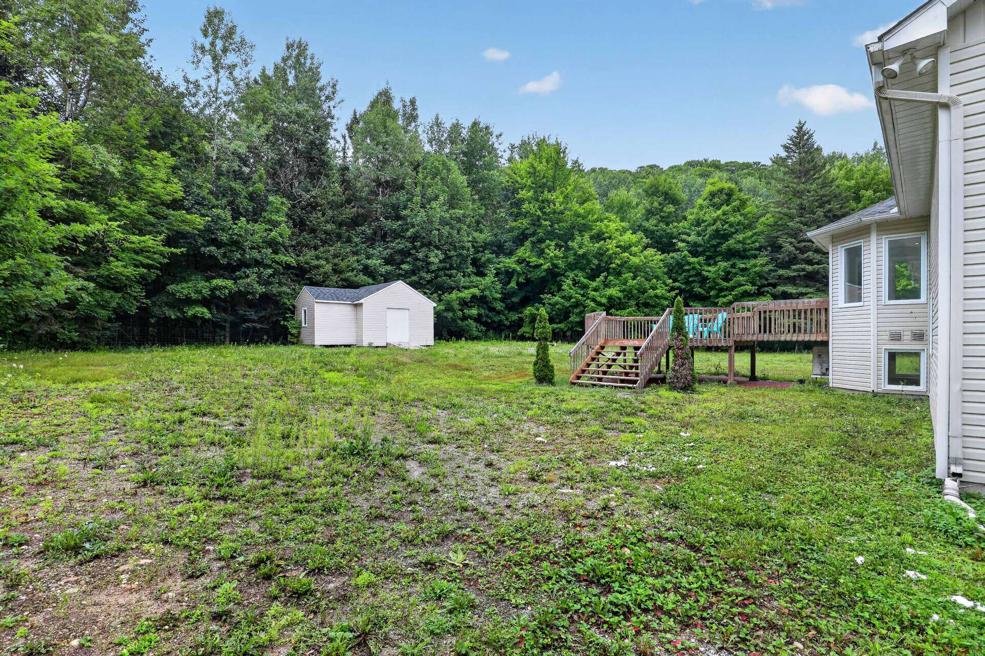 Backyard