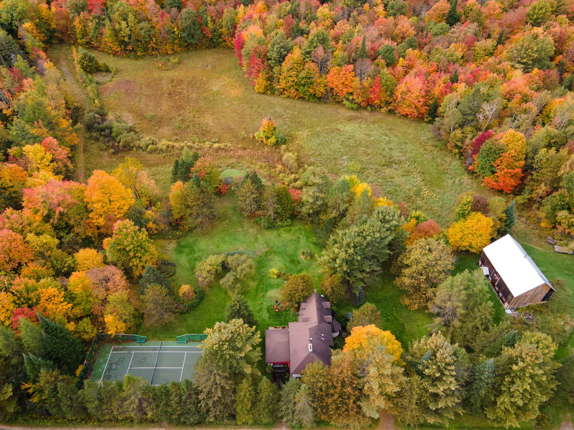 Aerial photo