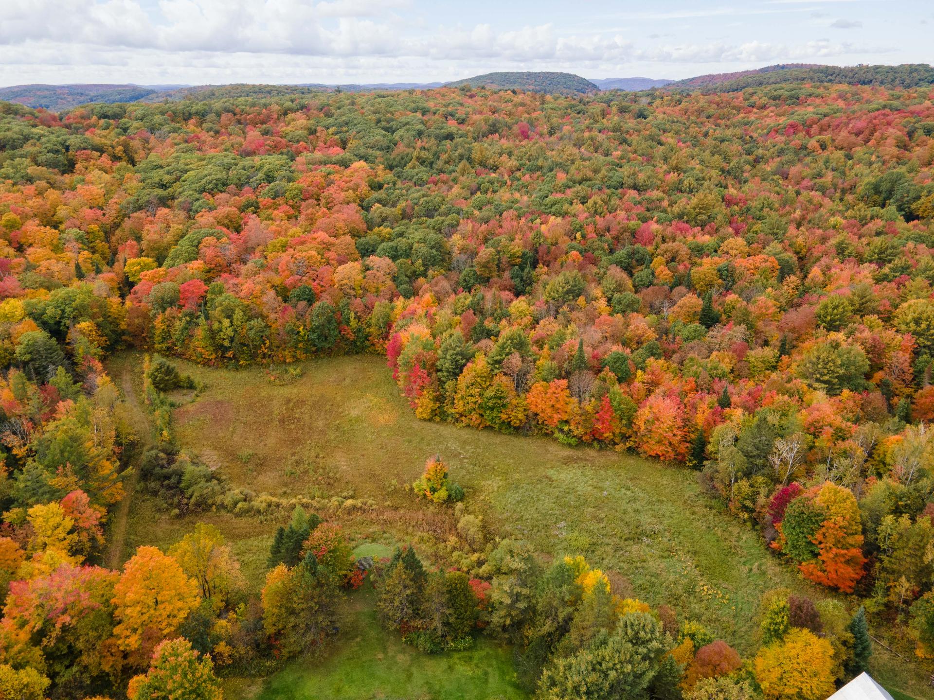 Aerial photo