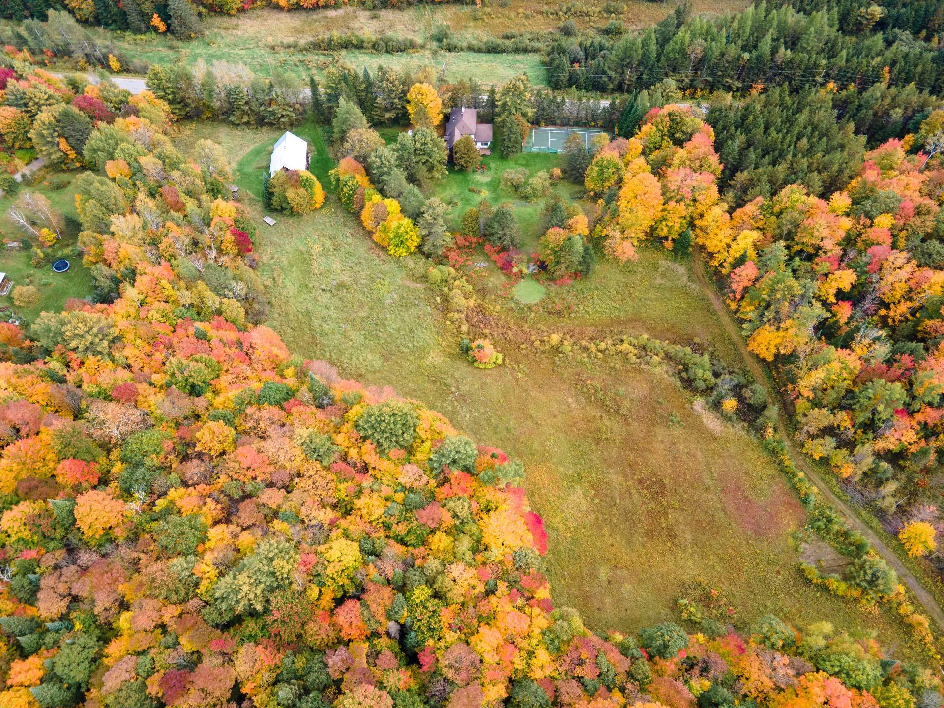 Aerial photo