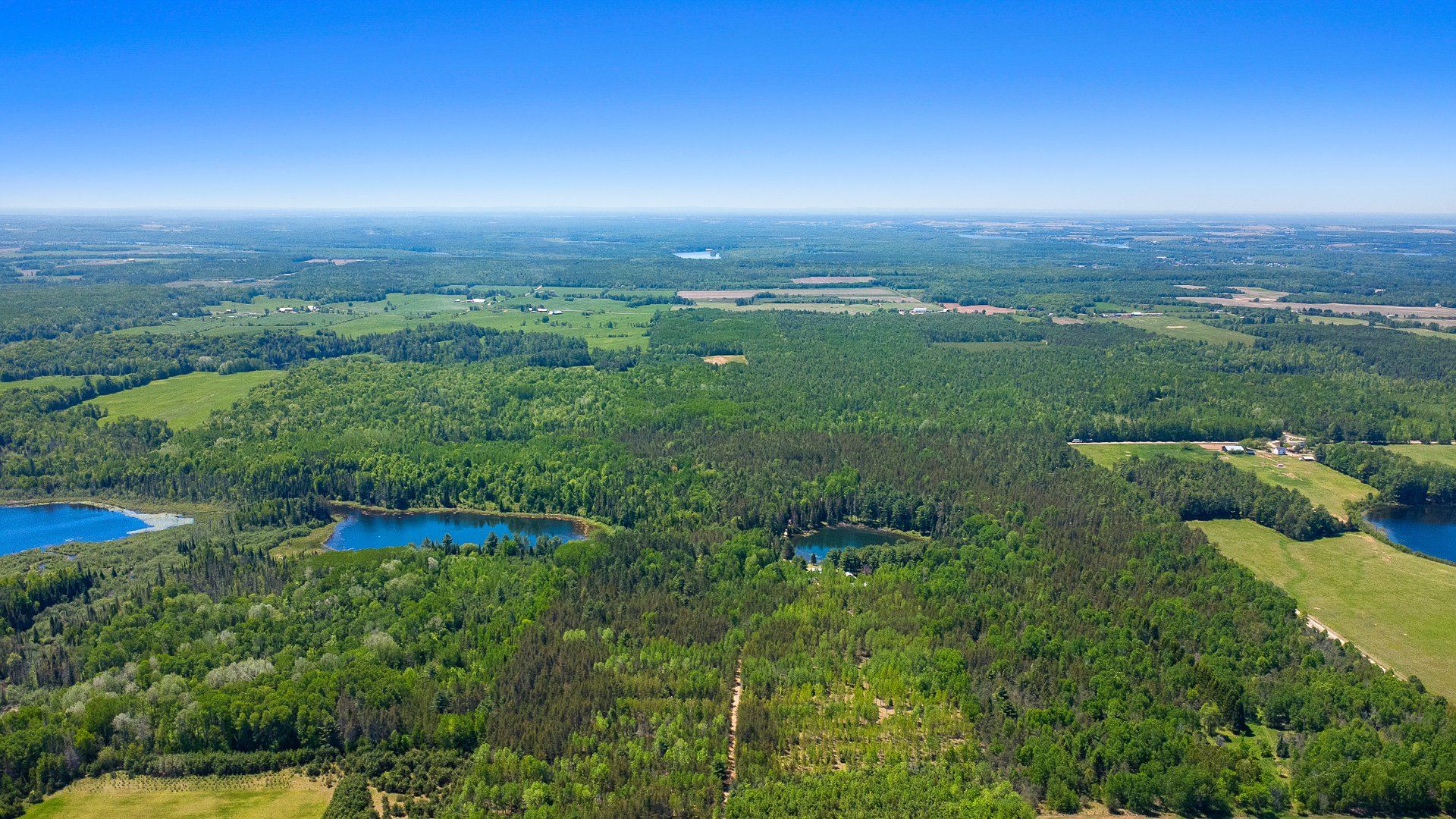 Overall View